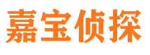 固阳侦探公司